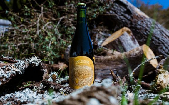 Jester King Scratch Abcission bottle BeerPulse