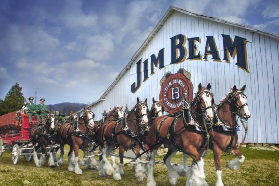 Budweiser Clydesdales and Jim Beam BeerPulse