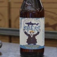dogfish noble rot 575