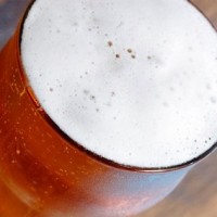 yards pint glass