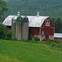 summer-farm-crop