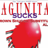 Lagunitas Sucks Brown Shugga Substitute