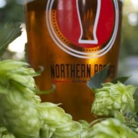 beer and hops 768