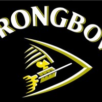 strongbow hard cider