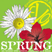Evolution Sprung Ale