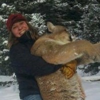 big sky brewing mountain lion