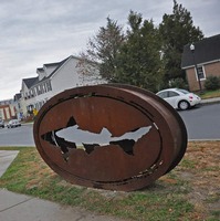 dogfish head square
