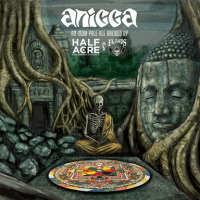 Anicca beer label half acre three floyds