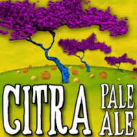 Odd Side Citra Pale Ale