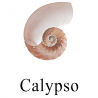 Flatrock Calypso Belgian Pale Ale