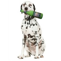 Heinie Sniffn Dog