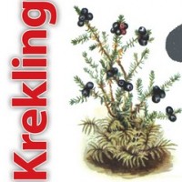 HaandBryggeriet Krekling Sour Ale