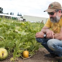 Rogue John with Pumpkins 2