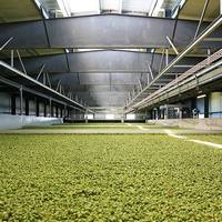 hop processing plant