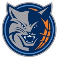 Charlotte Bobcats logo