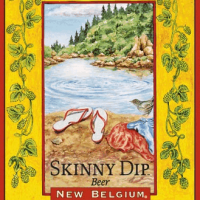 New Belgium Skinny Dip Ale