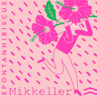 Mikkeller Spontanhibiscus Sour Ale