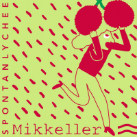 Mikkeller Spontanlychee Sour Ale