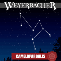 Weyerbacher Camelopardalis Ale