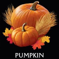 Wasatch Pumpkin Ale