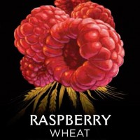 Wasatch Raspberry Wheat