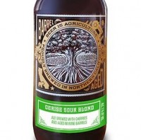 Almanac Cerise Sour Blond crop