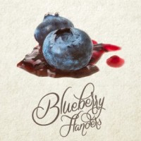 Side Project Blueberry Flanders