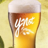 green flash ynot session ipa 768