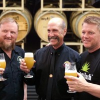 alpine and green flash acquired beerpulse