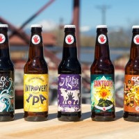 left hand brewing bottle lineup