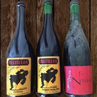 Brews for New Avenues BeerPulse 2016