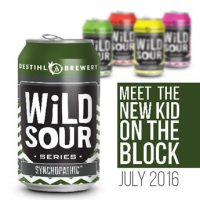 destihl wild sours cans square