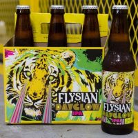 Elysian Dayglow IPA 6pk btl