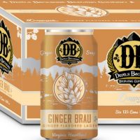 devils-backbone-ginger-brau-6pk-cans-beerpulse