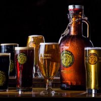 Thirsty Bear Brewing glasses