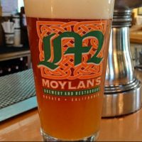 Moylans IPA HAZE CRAZE