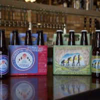 Shorts Prolonged Enjoyment and Starcut Ciders Immortal Jelly BeerPulse