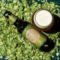 Schlafly Beer Double IPA pic BeerPulse II