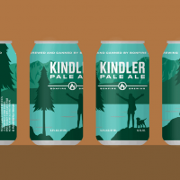 Bonfire Kindler cans BeerPulse