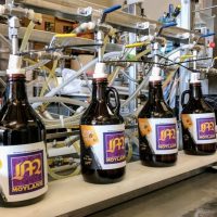 Hopsy filling Moylan's Growlers BeerPulse