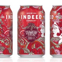 Indeed Strawberry Fields cans BeerPulse
