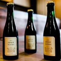 Jester King 2017 SPON Peach Apricot BeerPulse
