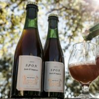Jester King 2017 SPON — Syrah & Sangiovese BeerPulse