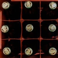 Jester King 2018 Cellar Release BeerPulse