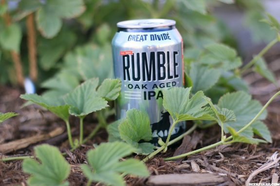 Great Divide Rumble Oak Aged IPA can BeerPulse