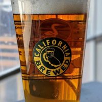 Marin Your Uncle's IPA glass BeerPulse