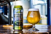 Two Roads Sauvignon Blanc can BeerPulse