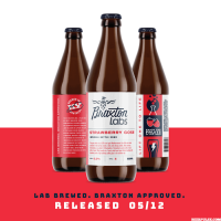Braxton Labs Strawberry Gose bottles BeerPulse