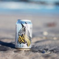 Einstok Arctic Berry Ale can BeerPulse