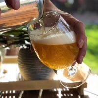 fermaentra brut li ipa beerpulse